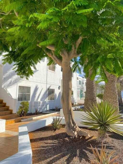 San Valentin Pakky House Apartamento Corralejo Exterior foto